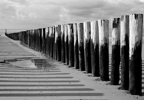 Breakwaters along the Zeeland coast in black and white