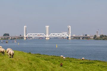 Botlek bridge by Joop Kalshoven