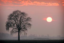 Zonsondergang Westmaas