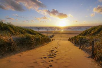 The Beach by Dirk van Egmond