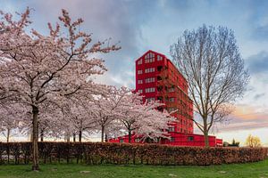 Rotes Donnern