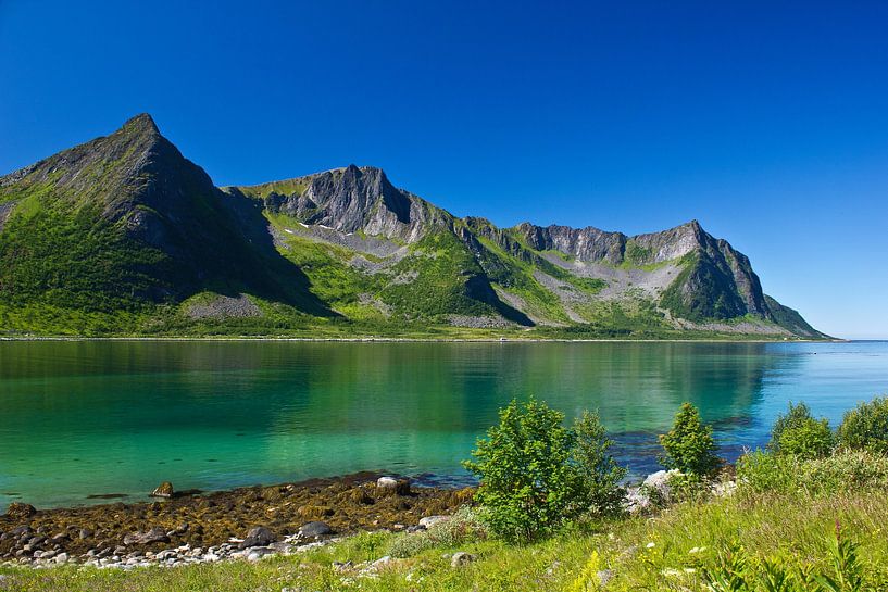 Sommertraum Senja von Anja B. Schäfer
