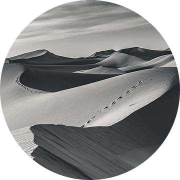 Eenzame voetstappen; Sahara in zwart-wit van Bep van Pelt- Verkuil