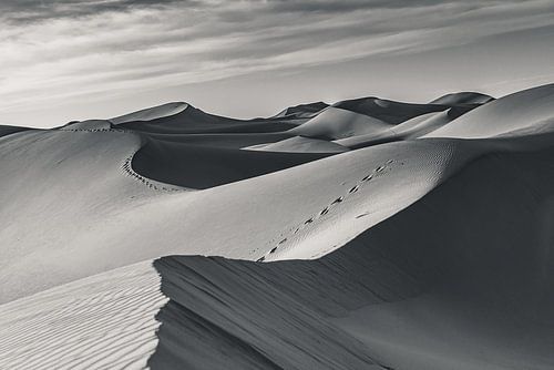 Eenzame voetstappen; Sahara in zwart-wit