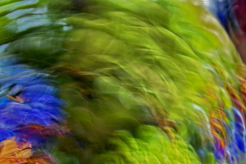 Moving Camera Images by arte factum berlin