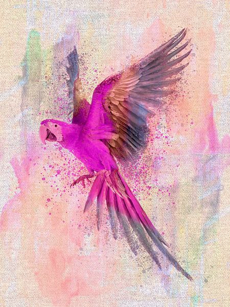Macaw parrot watercolor painting on pastel by Mad Dog Art