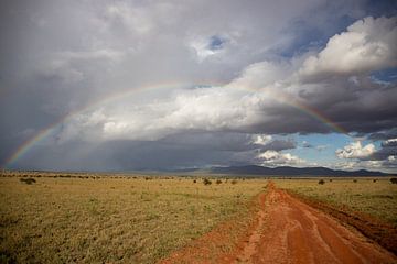 Regenbogen in de Savanne, landschapsopname van Fotos by Jan Wehnert