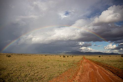 Regenbogen in de Savanne, landschapsopname