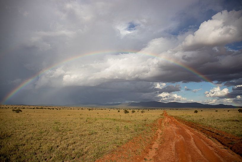 Regenborgen in der Savanne, Landschaftsaufnahme von Fotos by Jan Wehnert
