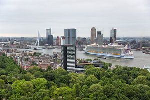 Harmony of the Seas in Rotterdam von MS Fotografie | Marc van der Stelt