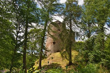 Burgruine Hallenburg in Thüringen von Tanja Voigt