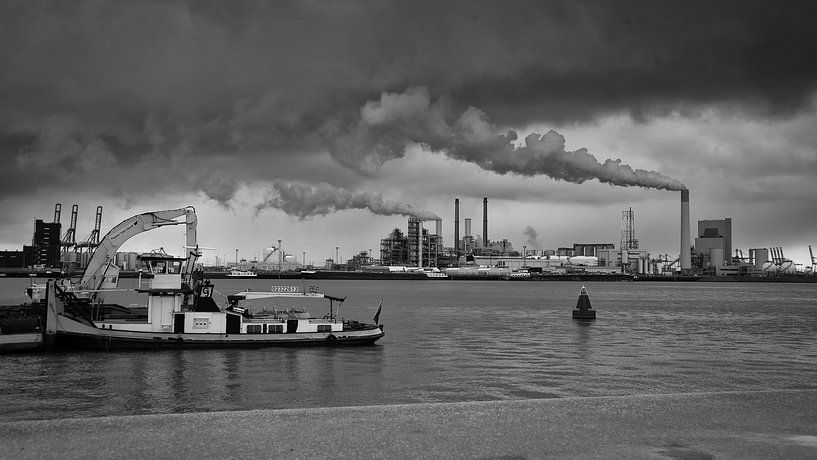 Maasvlakte, Rotterdam par Daan Overkleeft