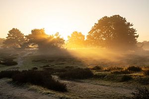 Westruper Heide, Haltern am See, Nordrhein-Westfalen, Deutschland