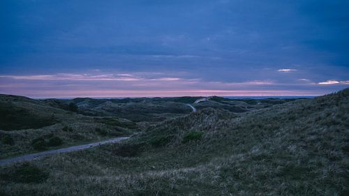 Les dunes d'Egmond Binnen