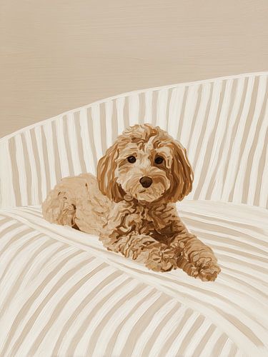 Labradoodle op de bank | Minimalistisch honden portret