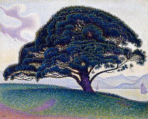 Die Bonaventura-Kiefer, Paul Signac
