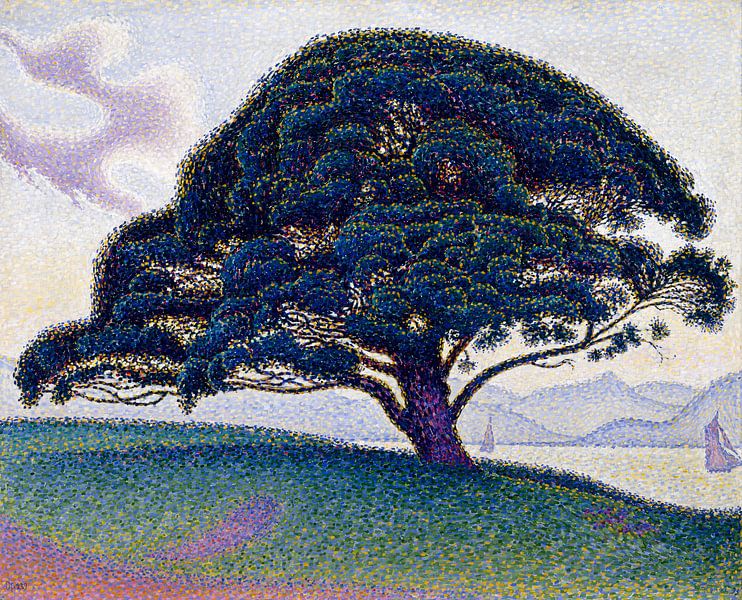 Die Bonaventura-Kiefer, Paul Signac von Atelier Liesjes
