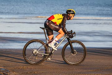 Tim Merlier on the beach by FreddyFinn