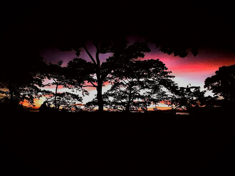 Coucher de soleil romantique dans la jungle thaïlandaise par Stardust Concepts