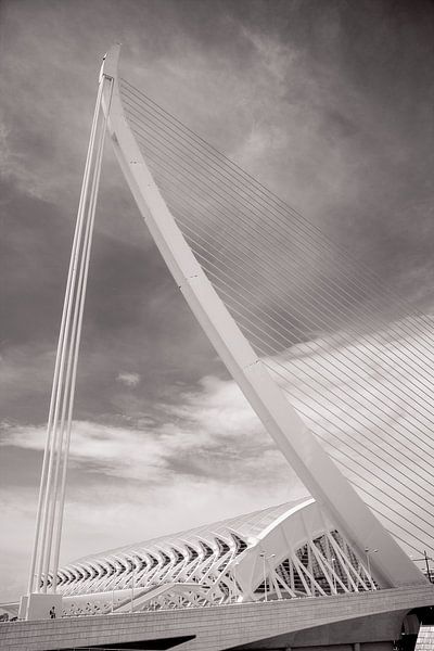 Museo de las Ciencias &amp; Assut de l'Or Bridge Photo – Iconic Valencia Wall Art by Studio Ajuut