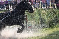 Powerhorse