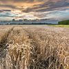 Mooie wolkenlucht boven tarweveld van Jan Poppe