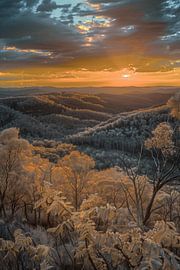 Hilly landscape in the morning light