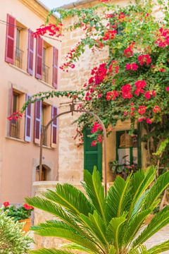 Idyllic house with beautiful bougainvillea at the old town of Alcudia, Mallorca Spain by Alex Winter