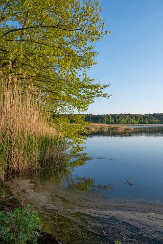 Vijver bij Mönau in de Oberlausitzer Heide- en Vijverslandschap