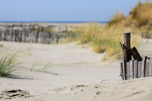 Strand in de Camarque van Antwan Janssen
