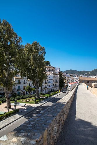 Gasse in Ibiza Stadt