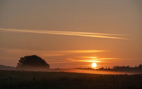 Ochtendhumeur, Ahreifel, Rijnland-Palts, Duitsland