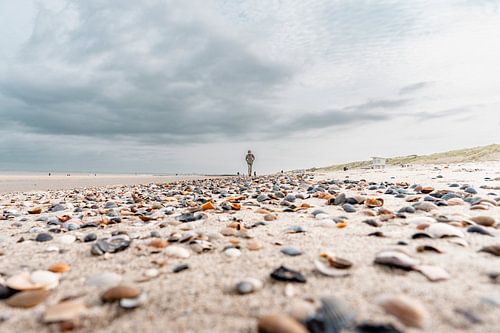 Moments de silence au bord de la mer