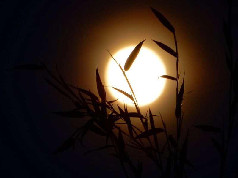 Pleine lune par Joke te Grotenhuis