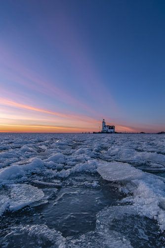 Paard van Marken in de winter.