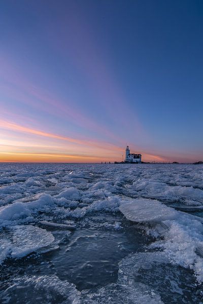 Cheval de Marken en hiver. par Jacco van Son