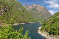 Lago di Vogorno in de Verzasca Vallei,Canton Ticino van Peter Eckert thumbnail