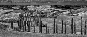 Podere Baccoleno - 2- Tuscany - infrared black and white