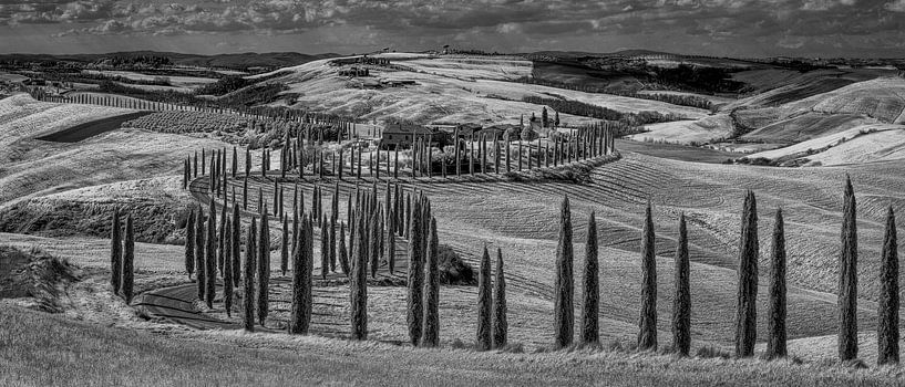 Podere Baccoleno - 2- Toscane - infrarouge noir et blanc par Teun Ruijters