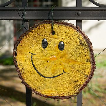 lächelndes Gesicht auf einem bemalten Stück Holz von Heiko Kueverling