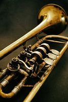retro Flugelhorn in natureltinten