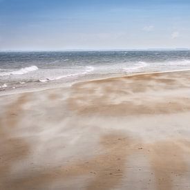 Zandstorm van Irene Vroon