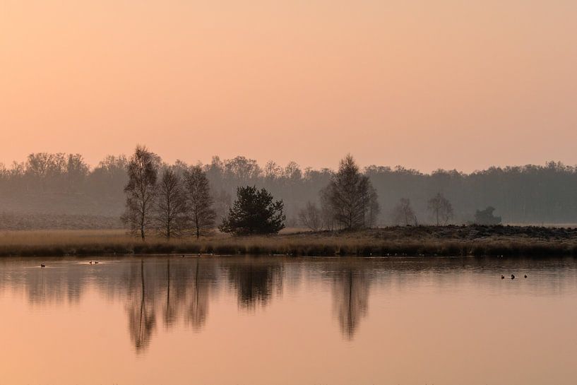 Morning Glow van William Mevissen