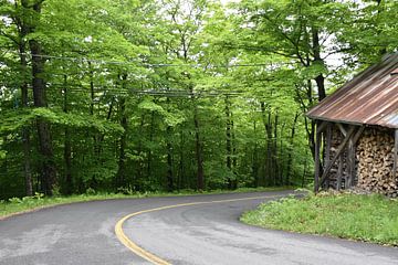 A country road in summer by Claude Laprise