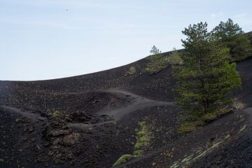 Living on the etna by Michelle van Merrienboer