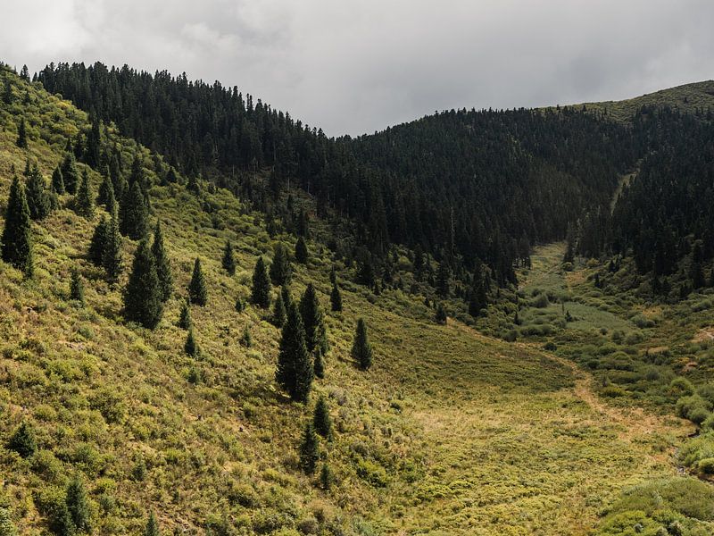 Grasslands and forests in Sichuan by Photolovers reisfotografie