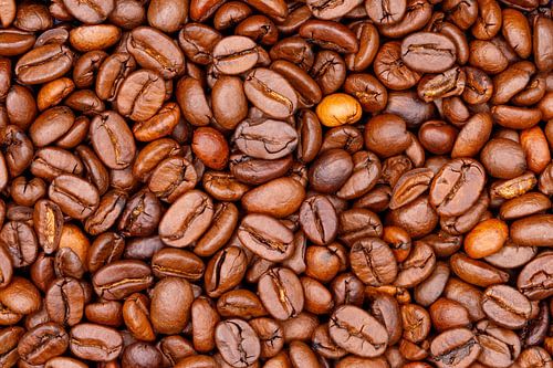 Geroosterde koffiebonen creëren een rijke bruine naadloze achtergrond