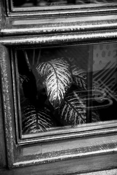 Real Life Still Life Urban Jungle by Lilian Bisschop