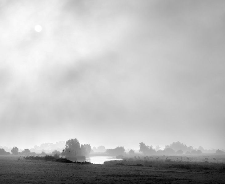 amerong oberer Polder im Morgennebel von anton havelaar