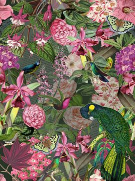Feathered friends - dark background by christine b-b müller